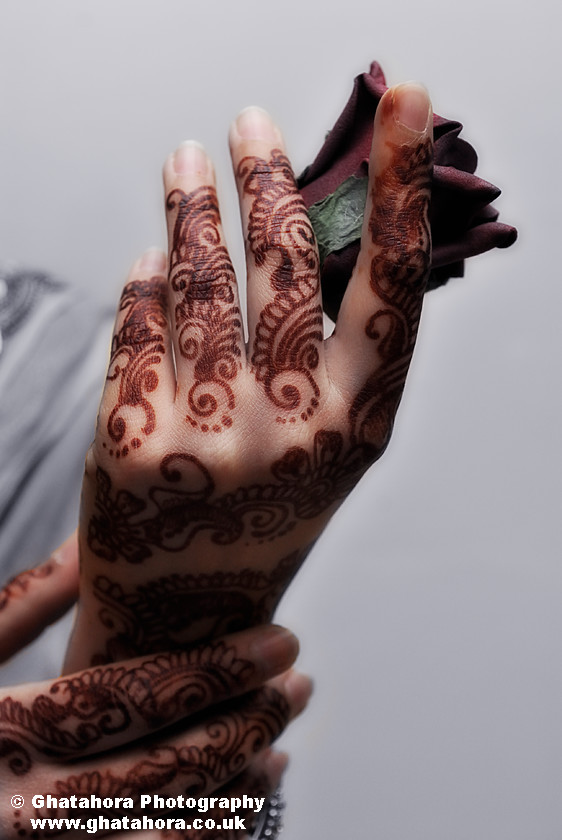 IMG6964 
 Henna covered hand holding a rose. Henna by Kiran Chana, Ray of light. 
 Keywords: Henna covered hand holding a rose. Henna, mendhi, designs, wedding, indian bride, hands, patterns, fashion, body art, tattoo, hands, colour, Bhupinder Ghatahora, Ghatahora Photography